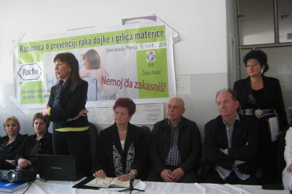 Radionica Pljevlja, Foto: Goran Malidžan