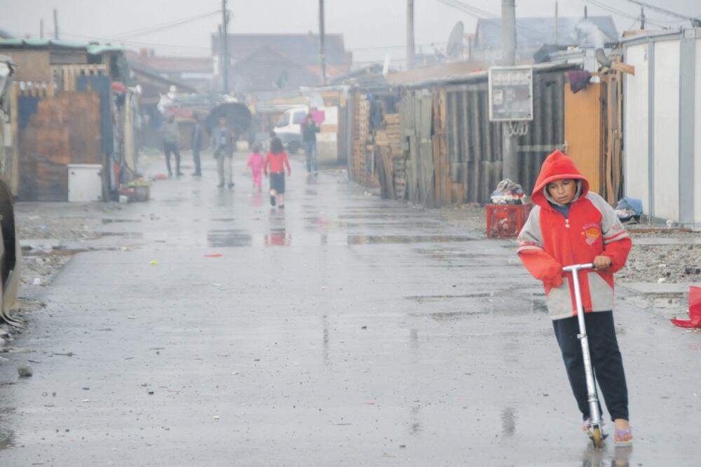 Konik, kamp. romi, Foto: Vesko Belojević