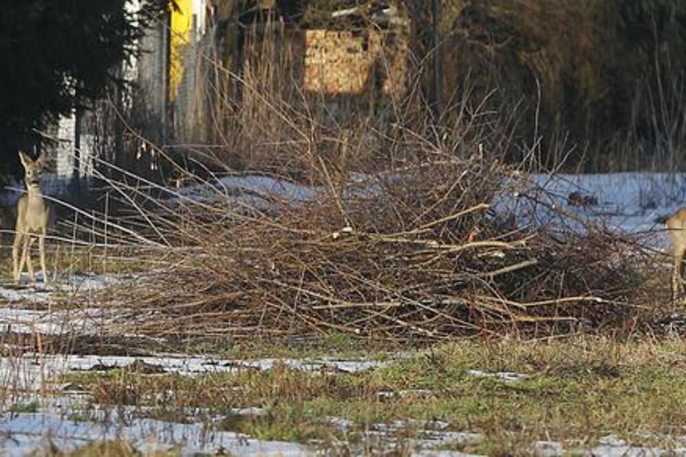 Varšava, Foto: Beta/AP