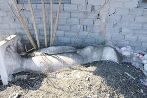 Kupačica pliva u gomili smeća