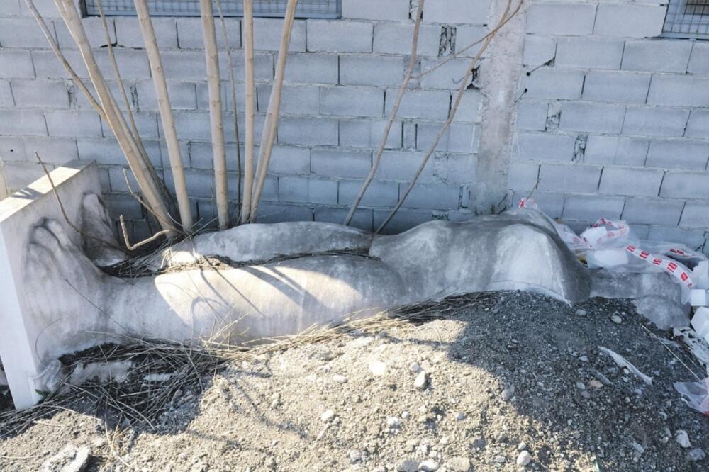 Kupačica, Foto: Luka Zeković