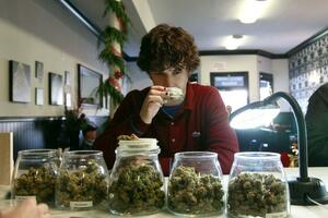 Kolorado prikupio dva miliona dolara  poreza od prodaje marihuane