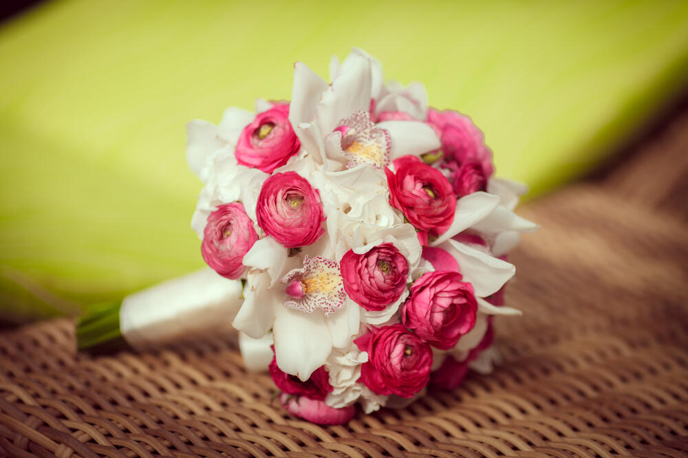 bidermajer, mlada, vjenčanje, Foto: Shutterstock