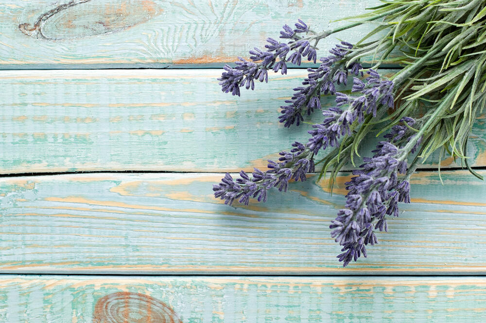 lavanda, Foto: Shutterstock.com