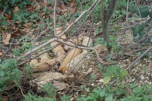 U Kumboru tražili vodu, a našli bombe iz II svjetskog rata