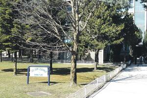 Nikšić: Zubarima račun od 26.000 eura