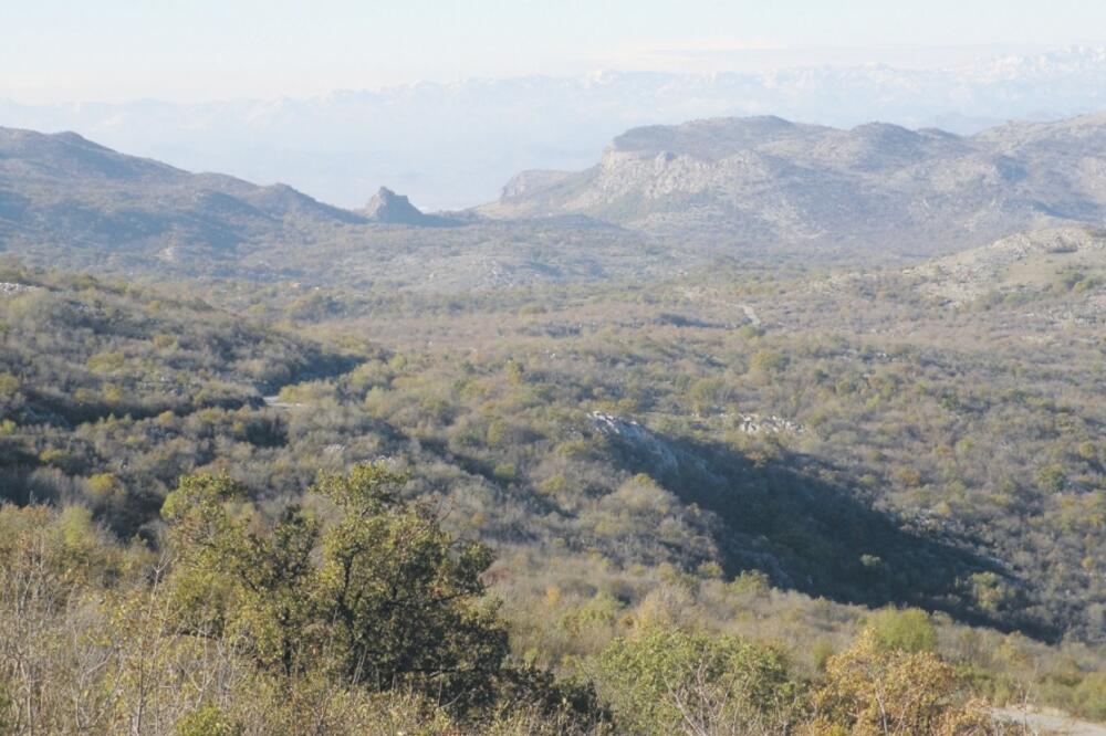Medun, Foto: Slobodan Čukić