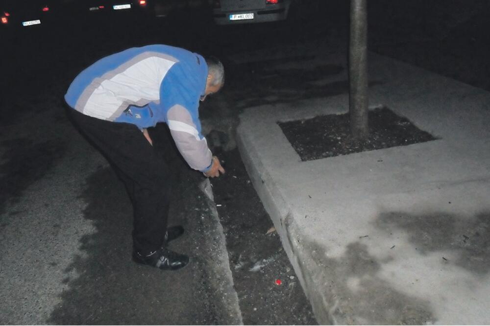 Trovanje pasa u Kolašinu, Foto: Dragana Šćepanović