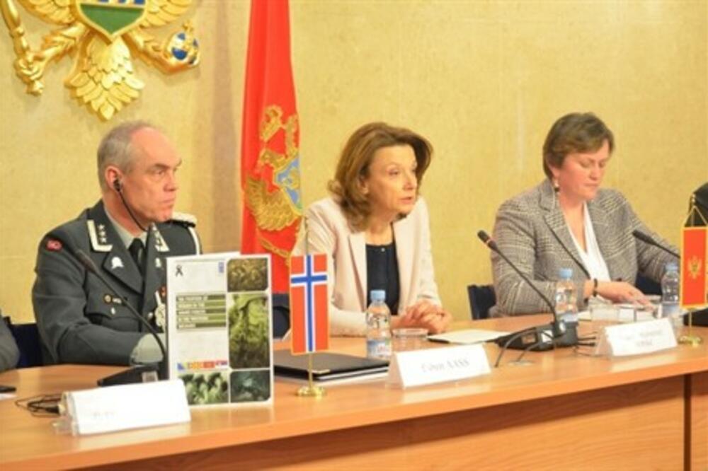 Odbor za rodnu ravnopravnost, Foto: Vlada Crne Gore