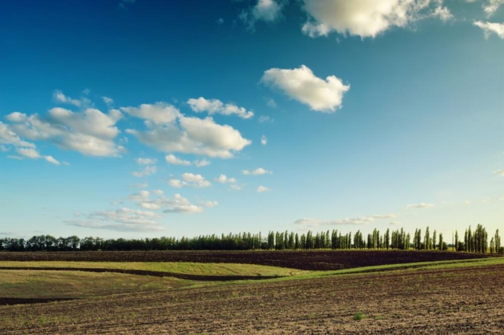 Polje, poljoprivreda, Foto: Shutterstock