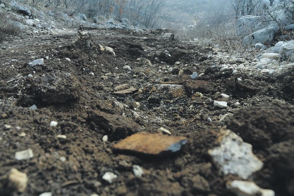 put, Golija, Foto: Ivan Petrušić