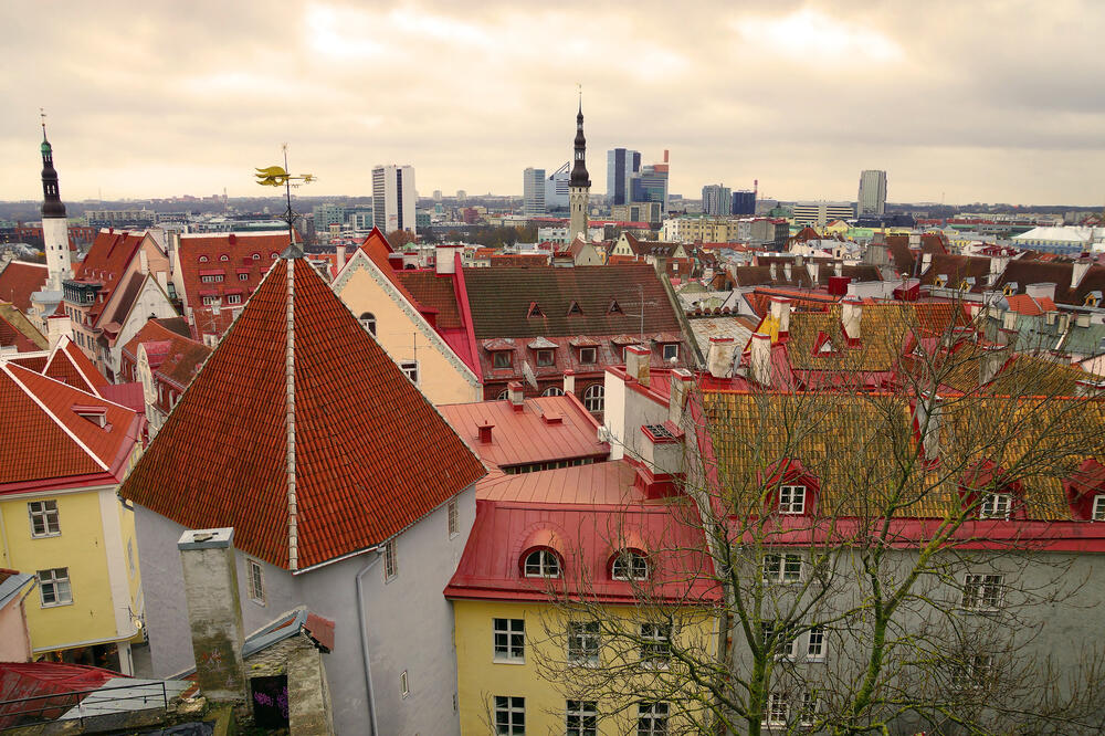 Talin, Foto: Shutterstock