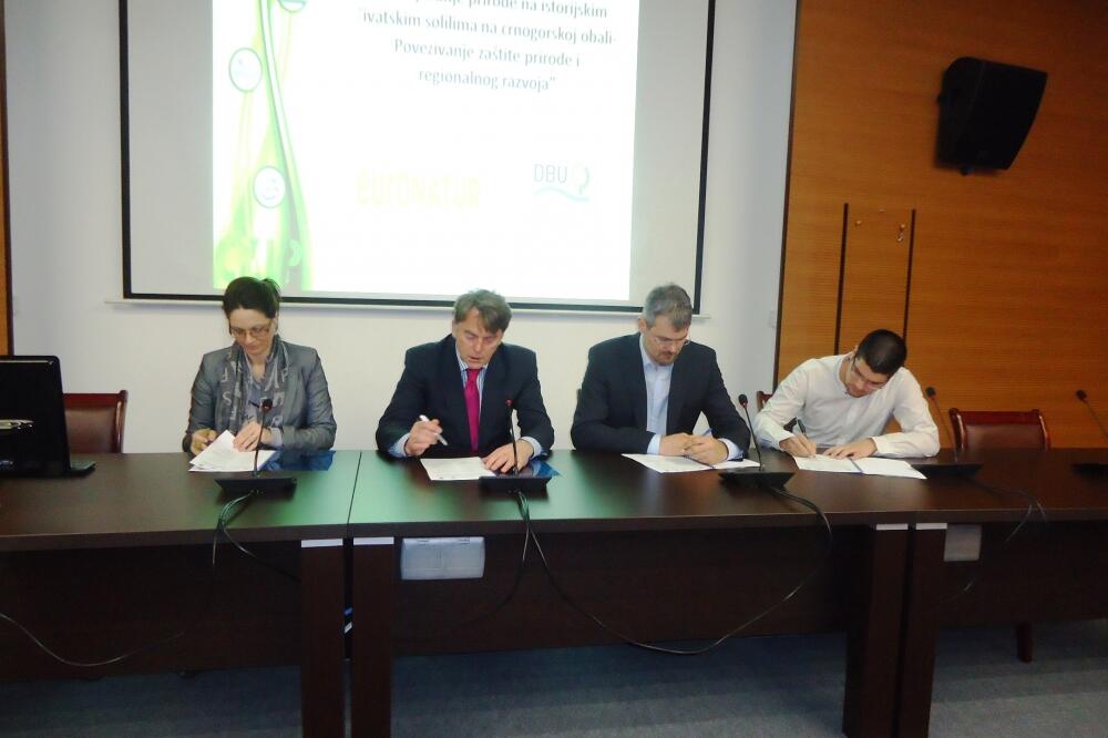 Tivatska solila, Foto: Siniša Luković