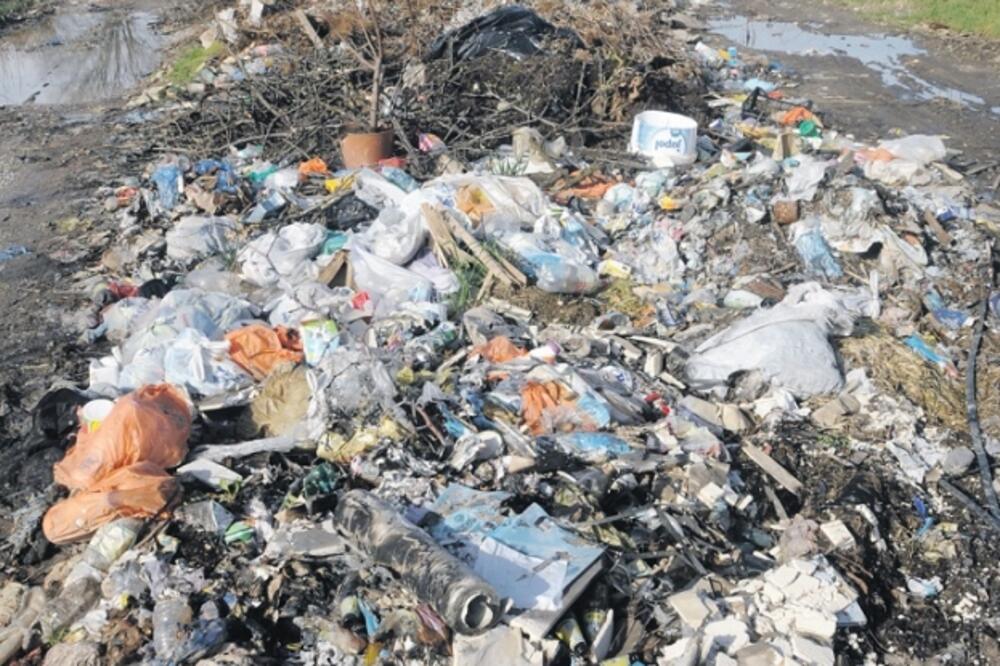 Stari viganj, Foto: Boris Pejović