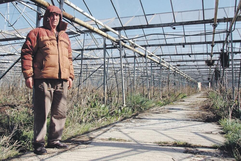 Staklenici, Foto: Luka Zeković