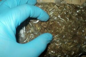 Albanija: Zaplijenjeno 400 kg marihuane