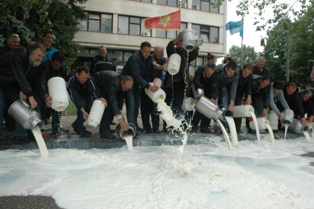 farmeri Nikšić, prosipanje mlijeka, Foto: Ivan Petrušić