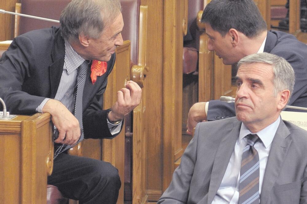 Miodrag Lekić, Zoran Pajović, Foto: Savo Prelević