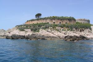 Potpisivanje peticije za spas Mamule