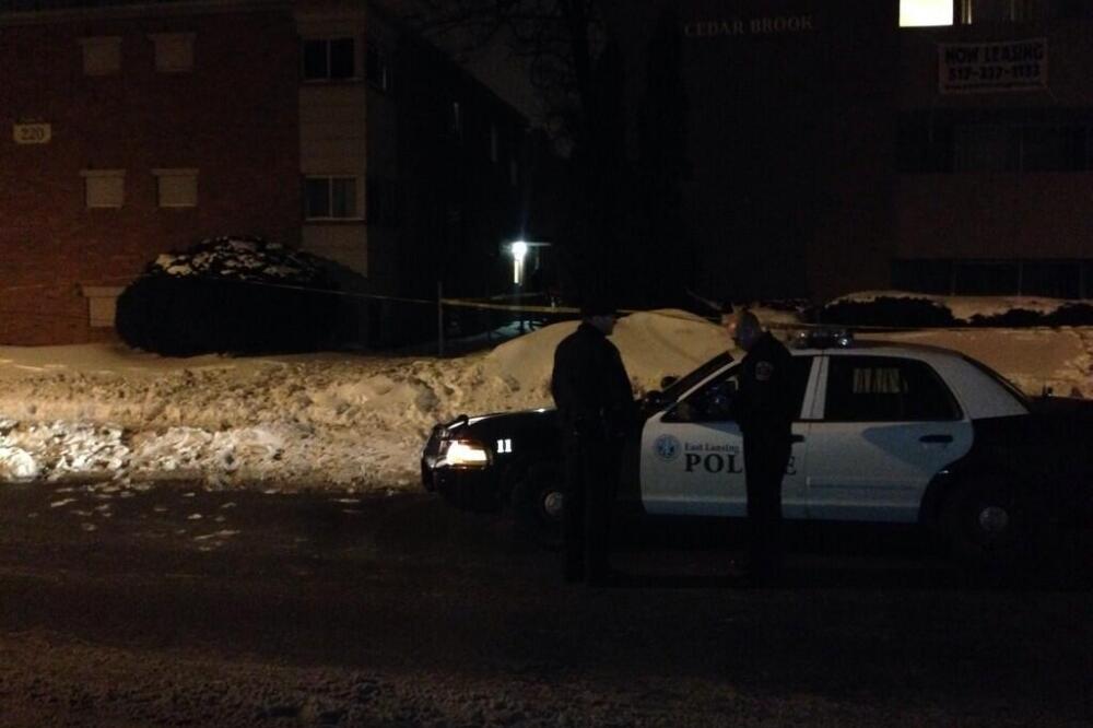 Mičigen, Foto: Wlns.com