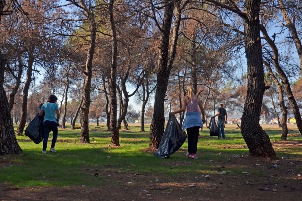 Ćemovsko polje, Foto: Damira Kalač