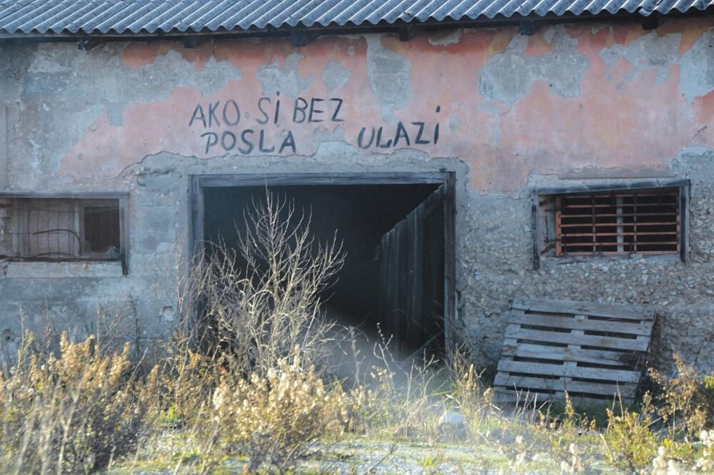 Solana, Foto: Arhiva "Vijesti"