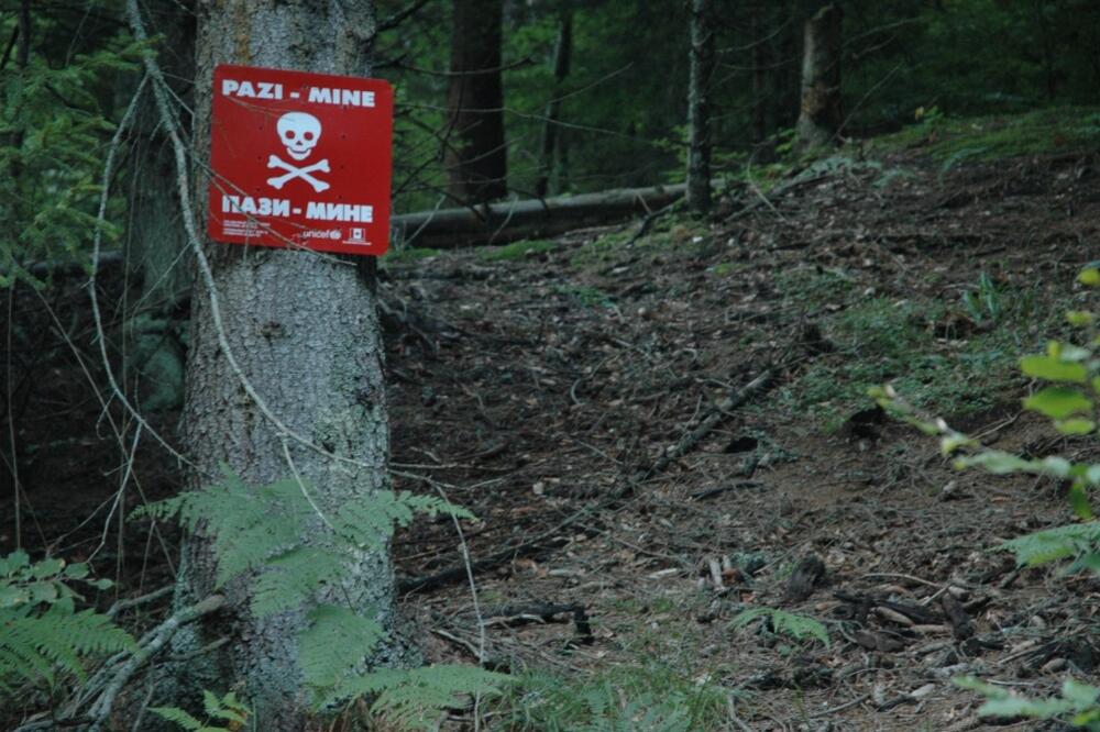 minsko polje, Foto: Commons.wikimedia.org