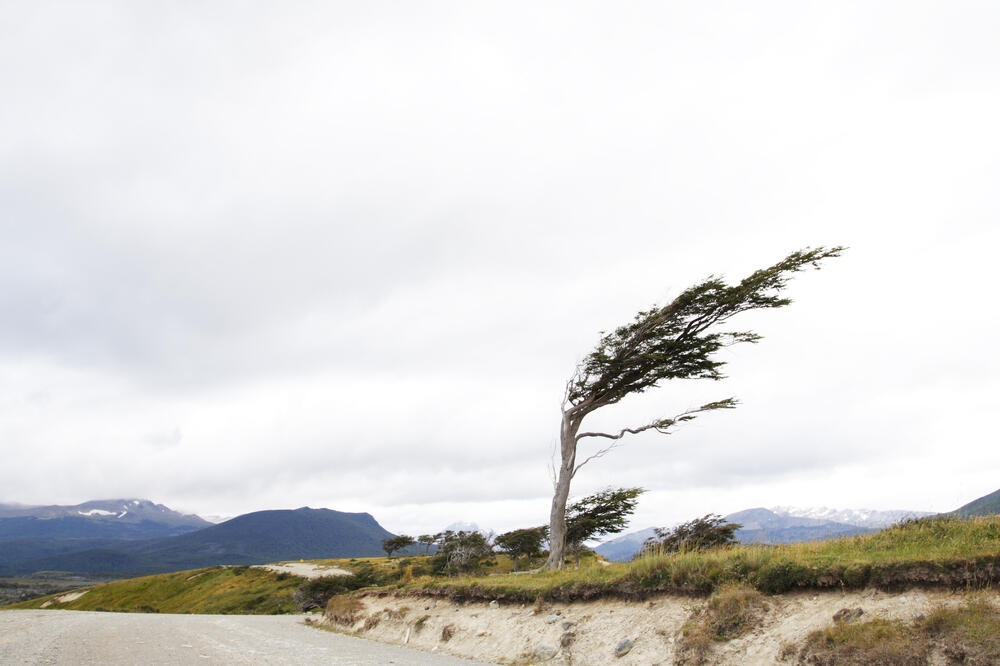 Vjetar, Foto: Shutterstock