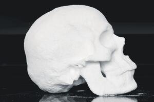 Diddo se okušao u novoj tehnici: Lobanja od kokaina