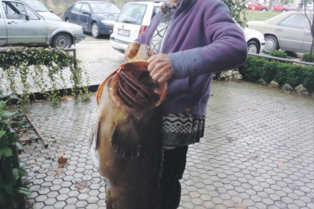 Omer Hot, riba krnja, Foto: Samir Adrović