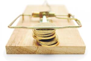 Pohapšeni zelenaši u Sloveniji