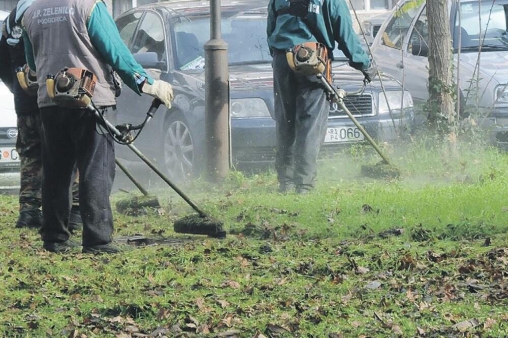 košenje, travnjaci, Podgorica, Foto: Luka Zeković