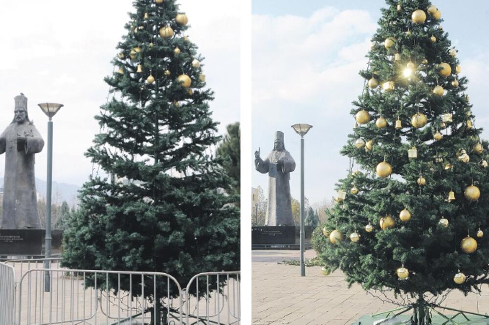 Jelka Podgorica, Foto: Zoran Đurić