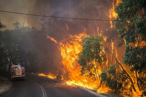 Australija: Požar zahvatio grad Pert, izgorjelo 46 kuća