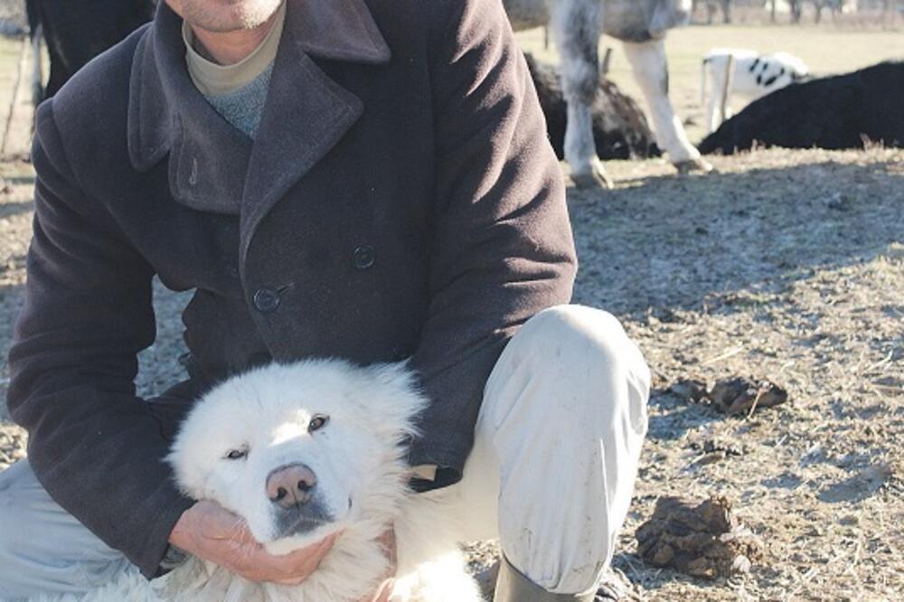 Rade Joković, Foto: Ivan Petrušić