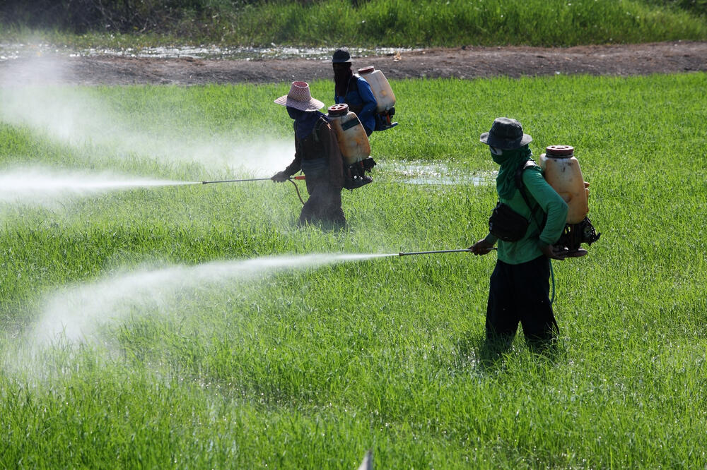 Pesticid, Foto: Shutterstock