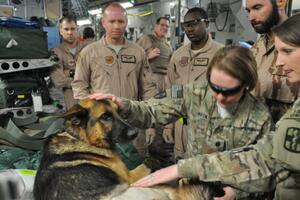 Češki ministar odbrane odlkovao psa iz misije u Avganistanu