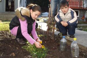 Umjesto u julu, cvijeće u bašti Žabljačanke procvjetalo pred Božić