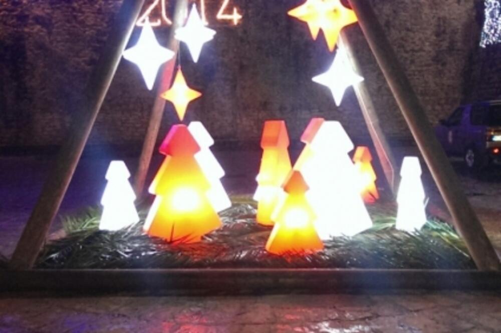 Jelka, Foto: Vuk Lajović