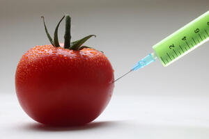 GMO: Predvodnik bolesti i siromaštva