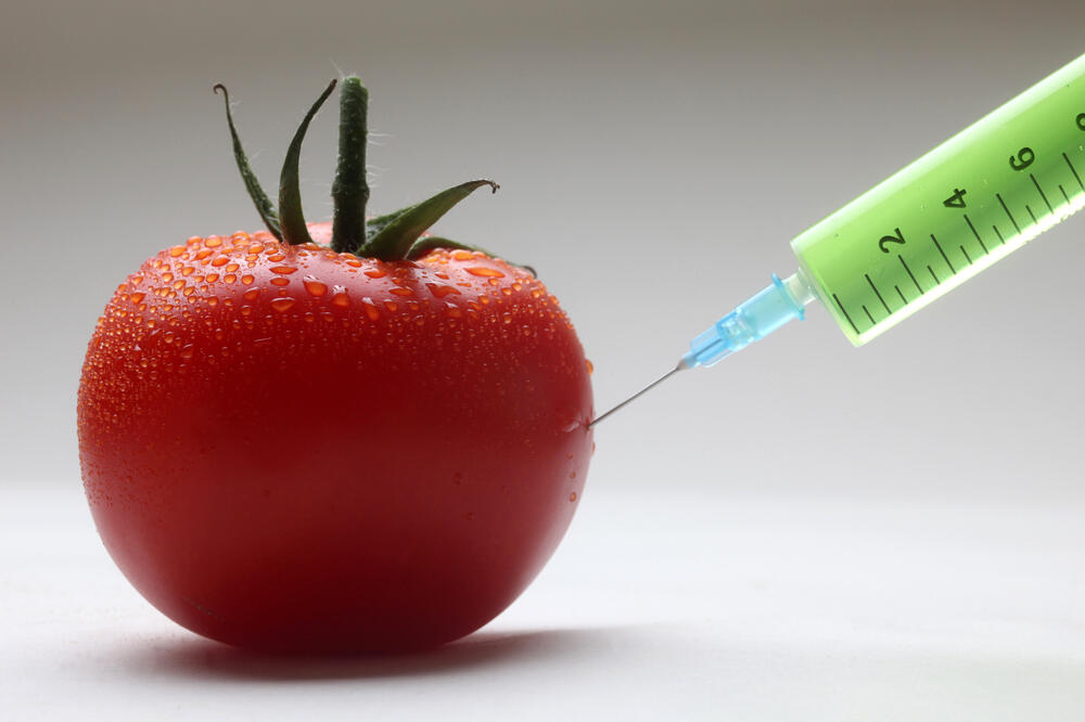 GMO, Foto: Shutterstock