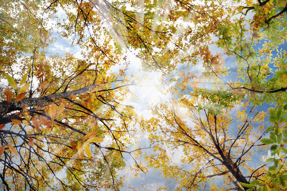 Jesen, Foto: Shutterstock