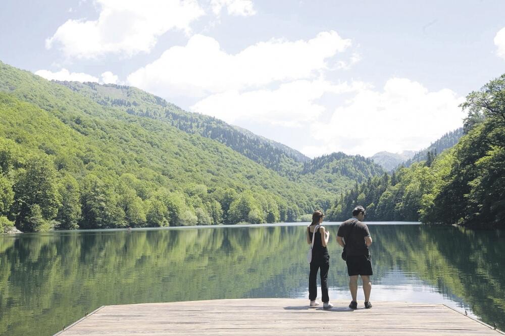 Biogradska gora, Foto: Arhiva "Vijesti"
