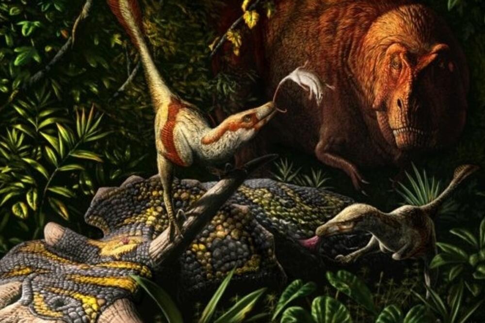 dvonožni mesožder, Foto: Phys.org/Julius Csotonyi