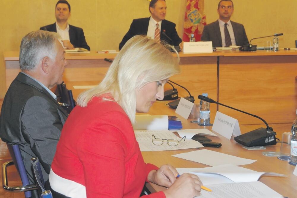 Ustavni odbor sjednica, Foto: Luka Zeković