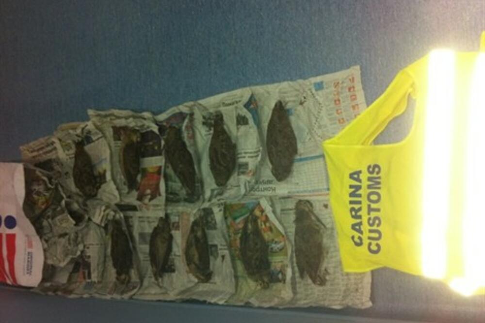 štuke Carina, Foto: Uprava carina