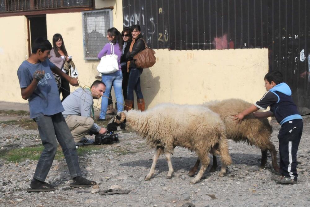 Romi, kamp Konik, Foto: Vesko Belojević