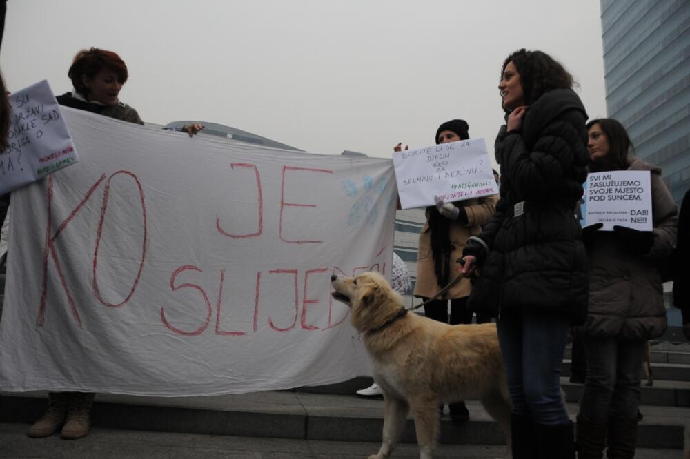 Protest u Sarajevu: Zaštita životinja, Foto: Anadolija