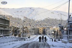 Damask: Smrzao se komandant pobunjenika