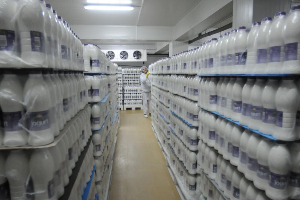 mlijeko, jogurt, Foto: Savo Prelević